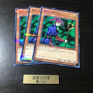 聖なる魔術師 パラレル ノーマル