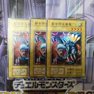 砦を守る翼竜　スーパー　初期　3枚