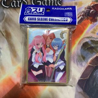 Zero no Tsukaima Sleeve