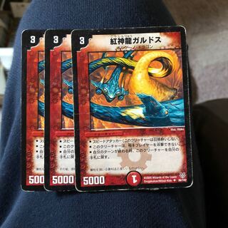 紅神龍ガルドス