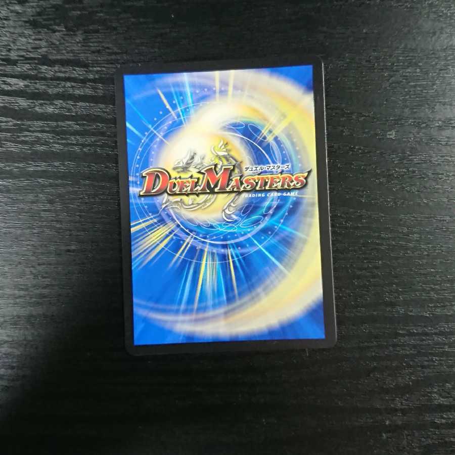 闘争類拳嘩目 ステゴロ・カイザー|お清めシャラップ