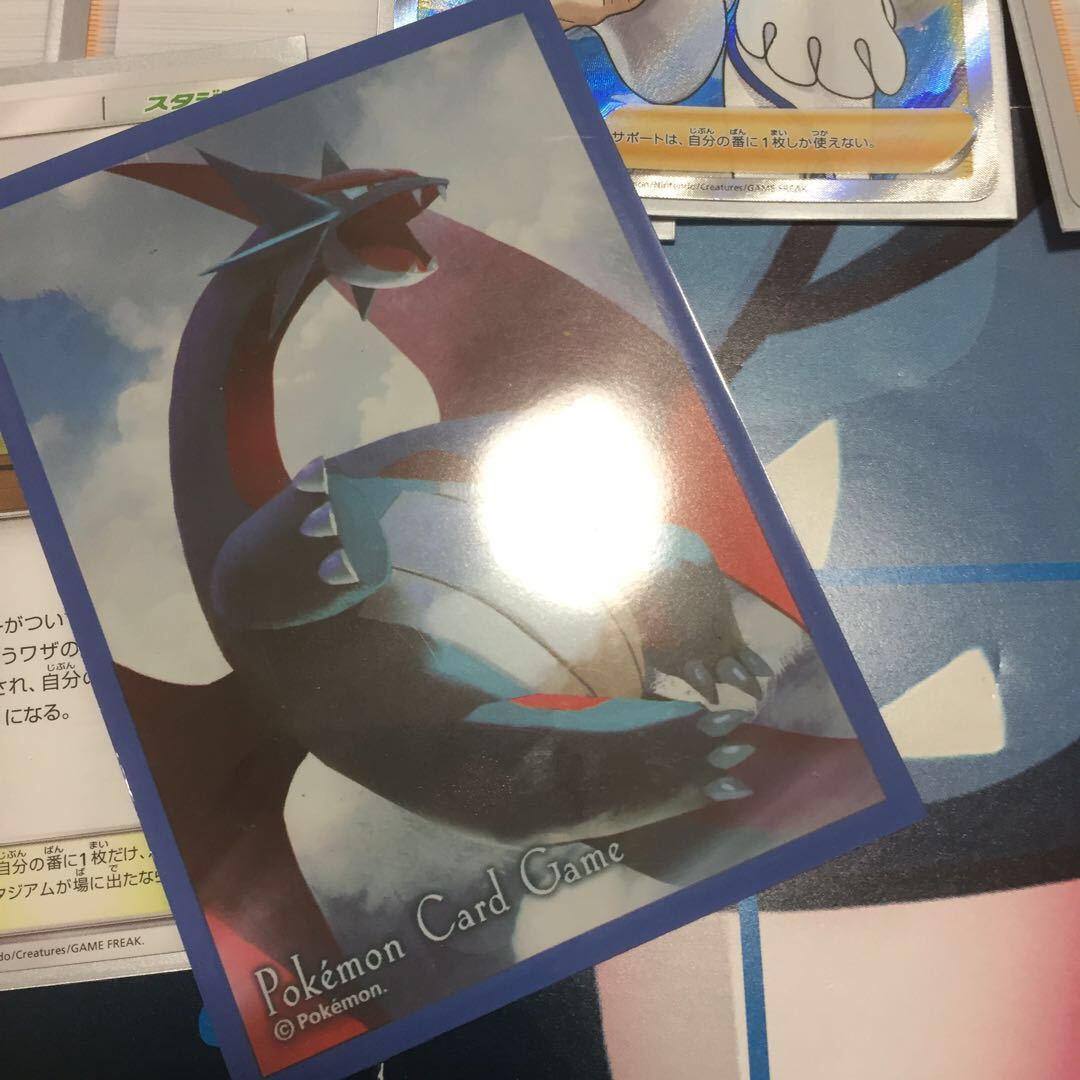 ガイニャン様専用