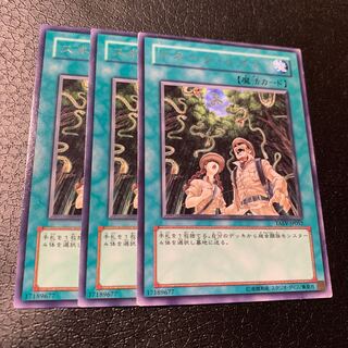 スネーク・レイン レア