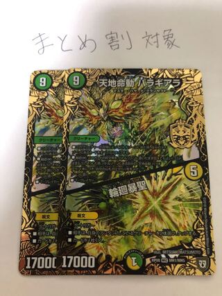 天地命動 バラギアラ｜輪廻暴聖