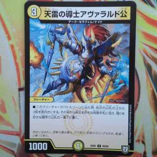 天雷の導士アヴァラルド公