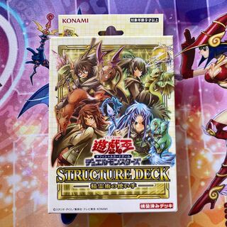 精霊術の使い手