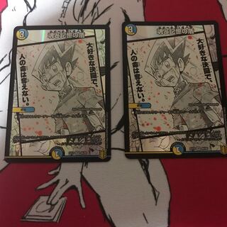 魂と記憶の盾 2枚