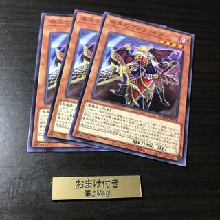 奇采のプルフィネス ノーマル