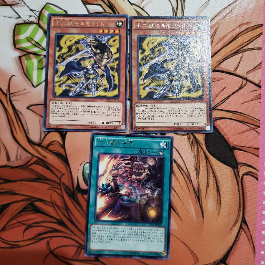 タクッチ様専用 1枚