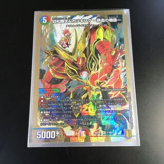 切札勝太&カツキング -熱血の物語- DSR