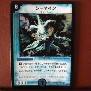 Exclusive for Mr. Werholm Set Discount Seamine