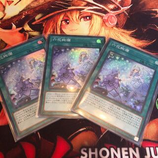 六花絢爛 3枚セット