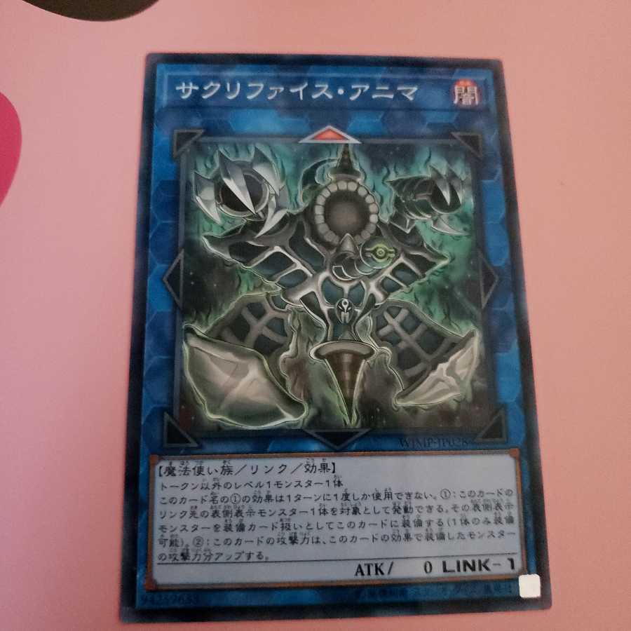 だいさん専用 サクリファイス・アニマ ノーパラ