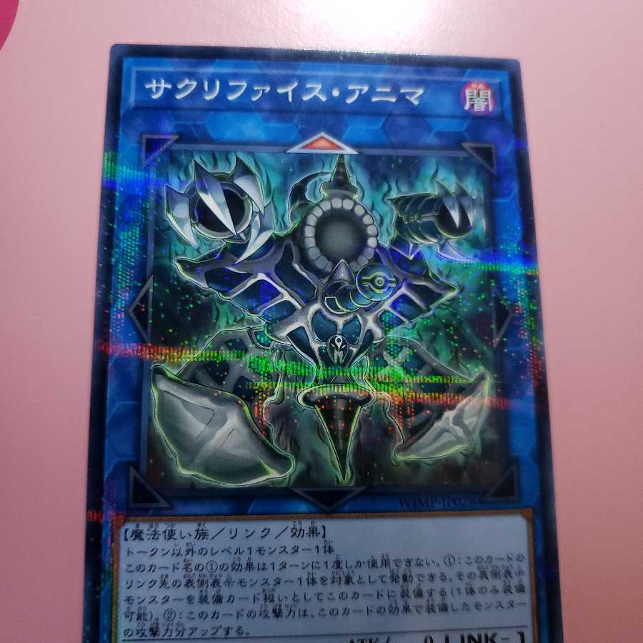 だいさん専用 サクリファイス・アニマ ノーパラ