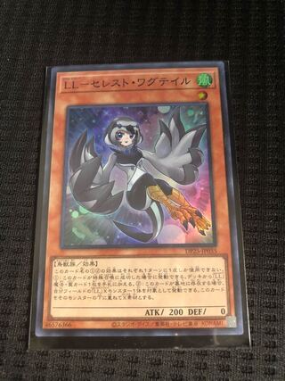 LL‐セレスト・ワグテイル　SR