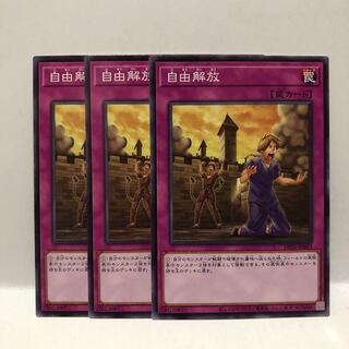 自由解放 ノーマル　3枚　マホ子