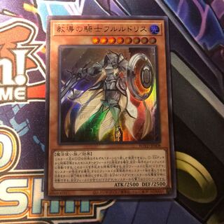 教導の騎士フルルドリス