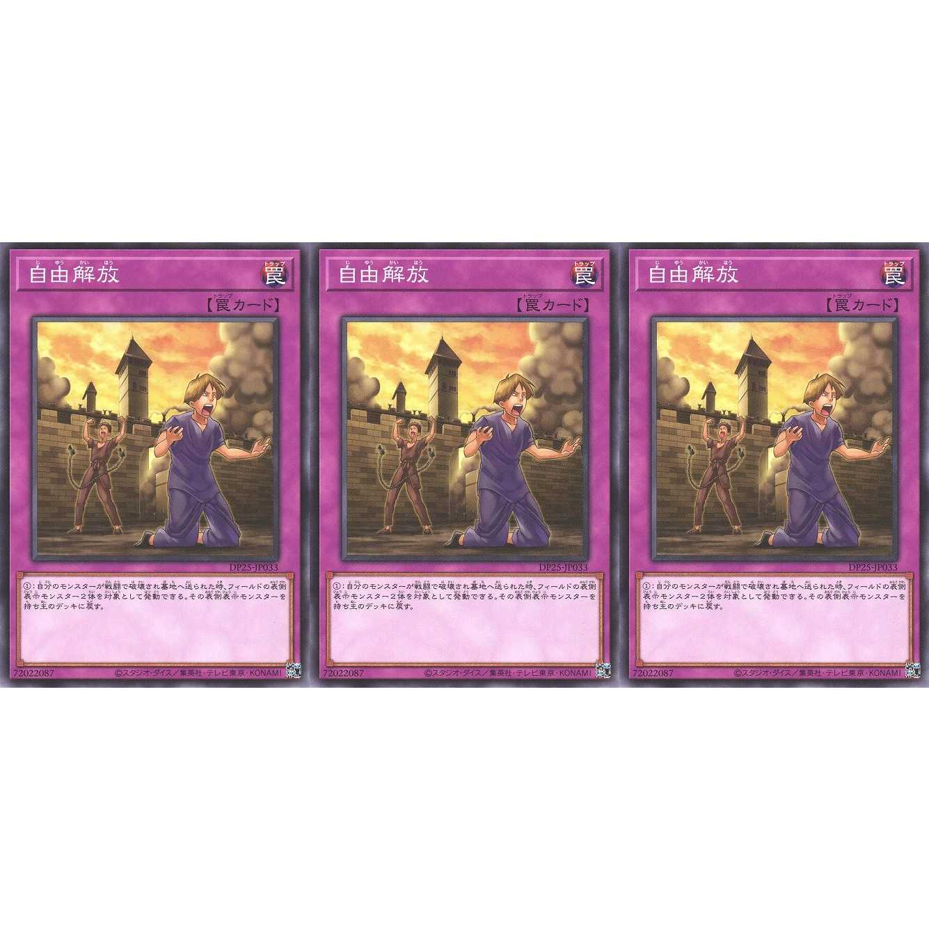 自由解放 ノーマル 3枚 DP25033 ケイトレード