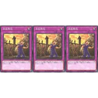 自由解放 ノーマル 3枚 DP25033　ケイトレード