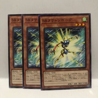 SRタケトンボーグ ノーマル　3枚　マホ子