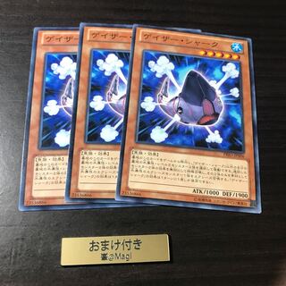 ゲイザー・シャーク ノーマル