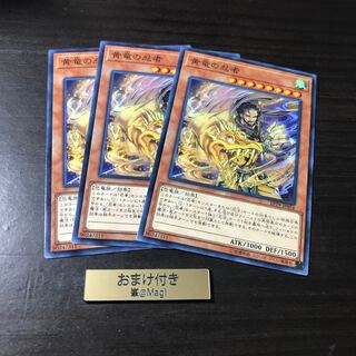 黄竜の忍者 ノーマル