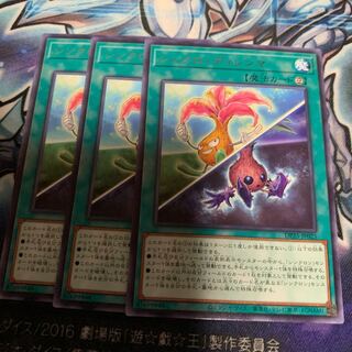 シンクロ・ディレンマ レア