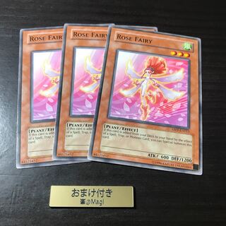 Rose Fairy English Normal