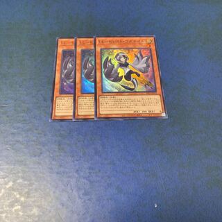 LL-セレストワグテイル スーパー　3枚