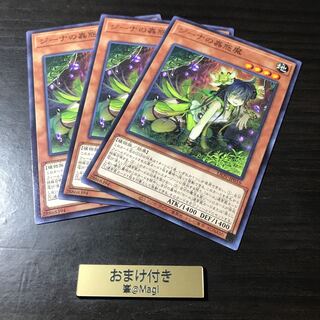 ジーナの蟲惑魔 ノーマル