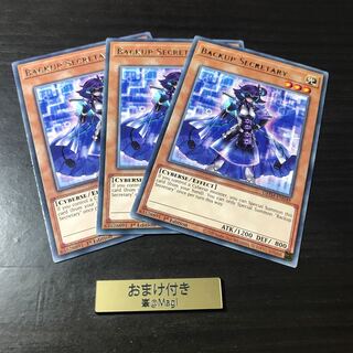 バックアップ・セクレタリー　英語版レア