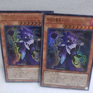 時花の賢者-フルール・ド・サージュ ウルトラレア