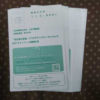 遊戯王 応募はがき 真紅眼の黒竜