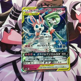 サーナイト&ニンフィア