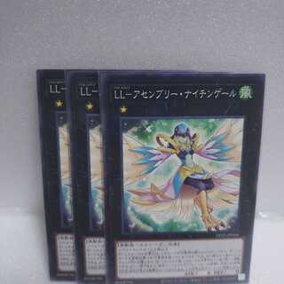 LL-アセンブリー・ナイチンゲール ノーマル