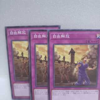 自由解放 ノーマル