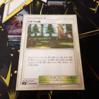 【C】トキワの森