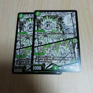 シビレアシダケ｜インビンシブル・パワー