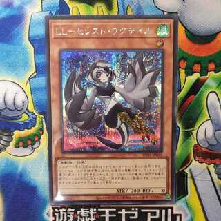 LL-セレスト・ワグテイル