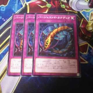 バージェストマ・カナディア ノーマル 3枚