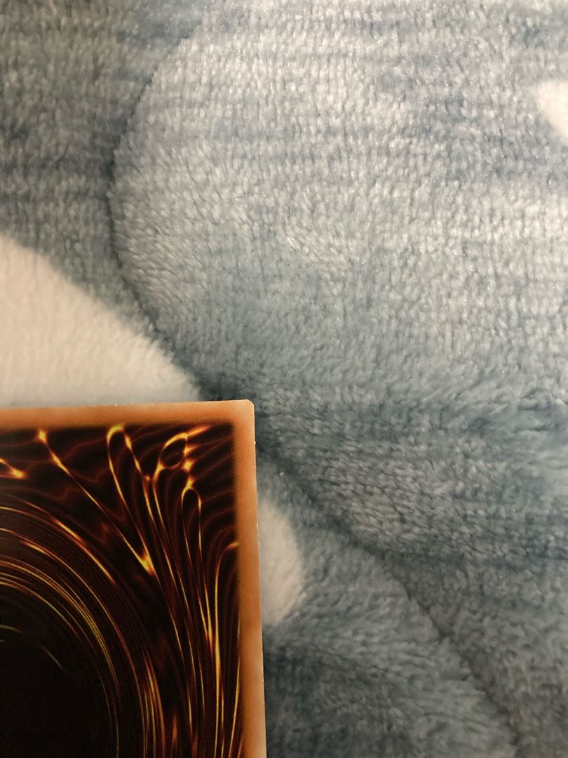 取り置き中　遊戯王 スターヴ・ヴェノム・フュージョン・ドラゴン　