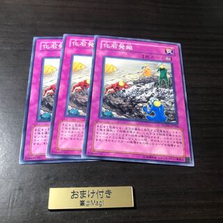 化石発掘 ノーマル