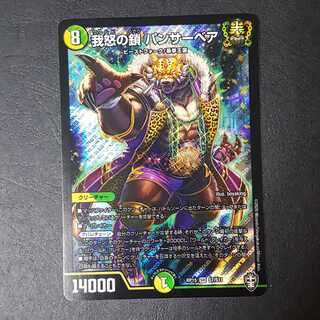 我怒の鎖 パンサーベア SR