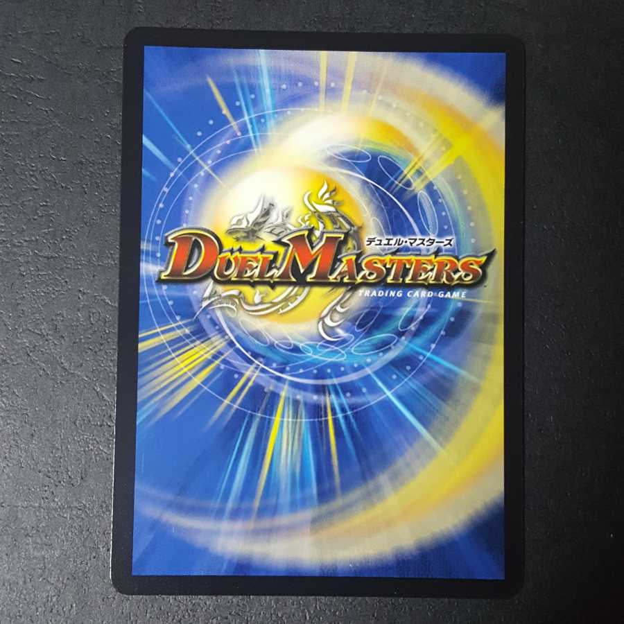 我怒の鎖 パンサーベア SR