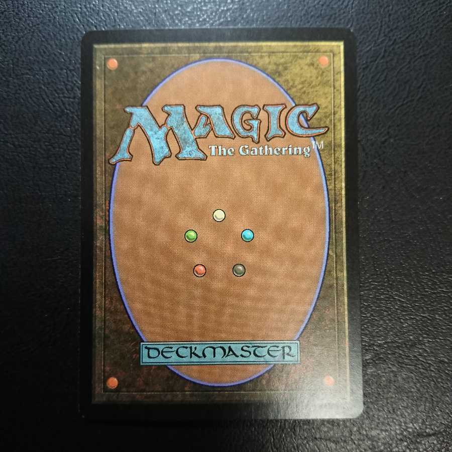 アダーカー荒原 英語版Foil１枚 ② 第７版