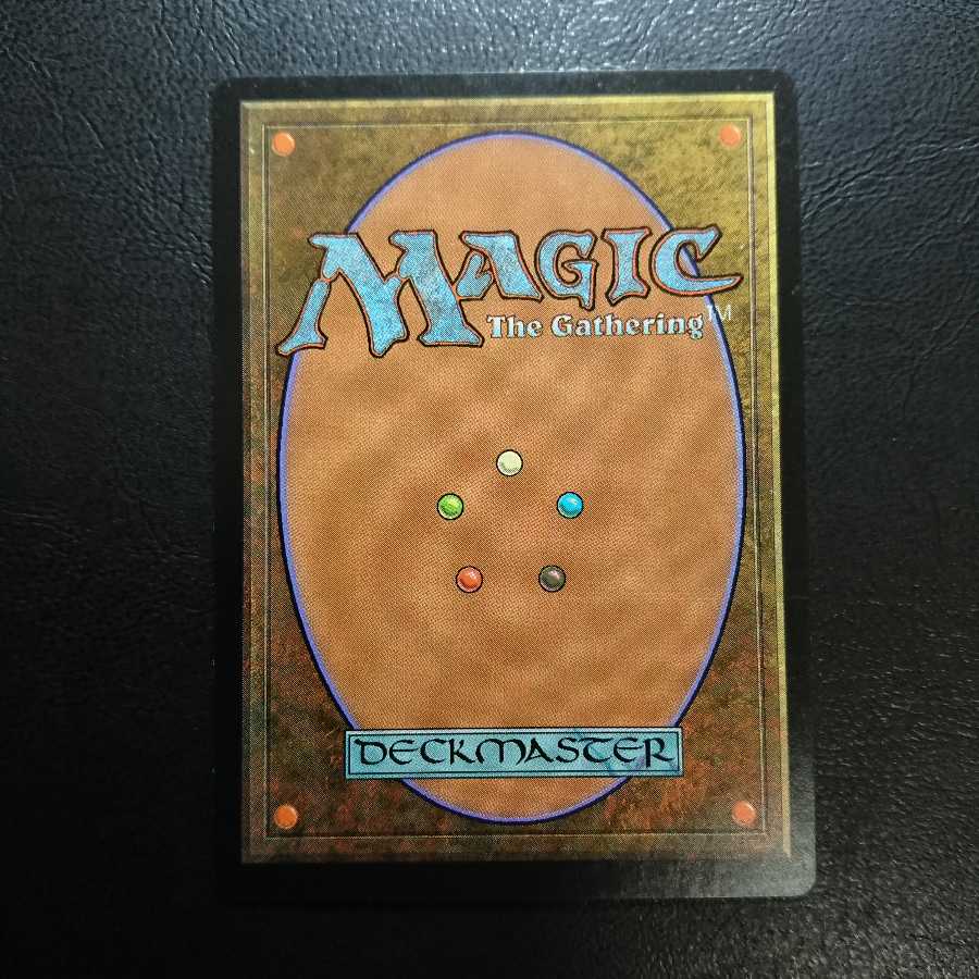 アダーカー荒原 日本語版Foil１枚 第７版