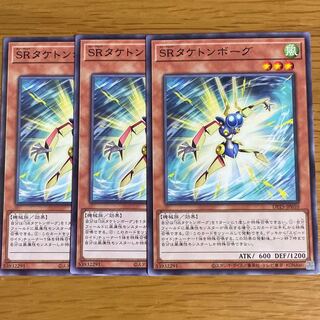 SRタケトンボーグ ノーマル　三枚