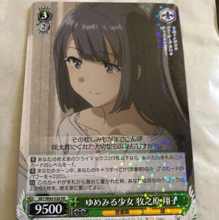 ヴァイス 青ブタRRとPR2枚