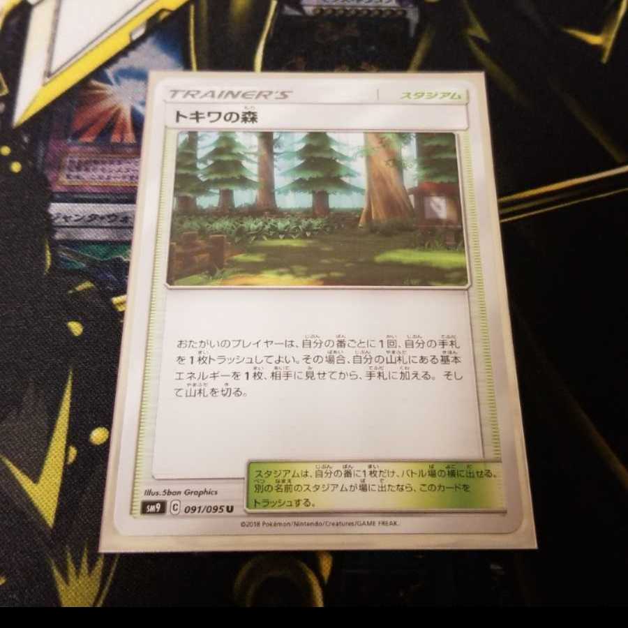 【ゔぃあ様専用】トキワの森