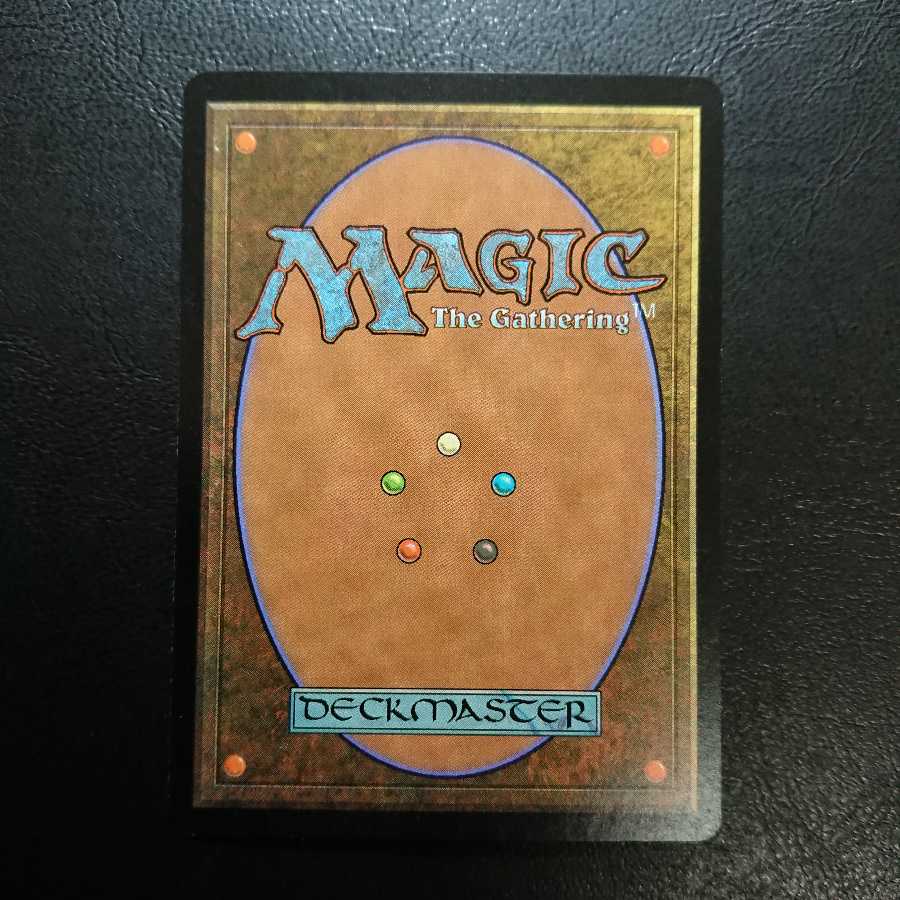 【専用】あきお様 低木林地・アダーカー荒原 英語版Foil各１枚 第７版